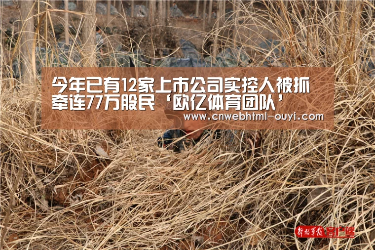 今年已有12家上市公司实控人被抓 牵连77万股民‘欧亿体育团队’