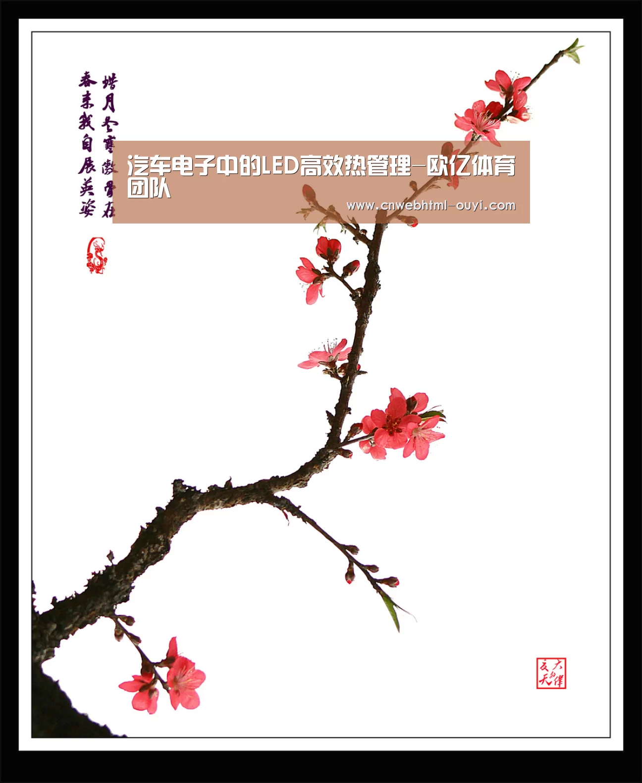 欧亿体育官网